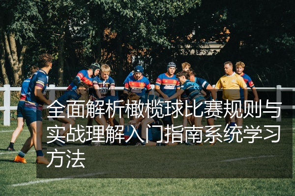 全面解析橄榄球比赛规则与实战理解入门指南系统学习方法