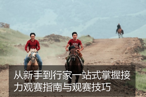 从新手到行家一站式掌握接力观赛指南与观赛技巧